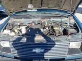 Chevrolet Astro 1GNDM19W5RB209701 снимка