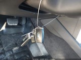 Miniaturka zdjęcia 11