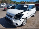 Kia Soul KNDJT2A51D7503566 снимка