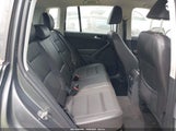Miniaturka zdjęcia 8
