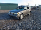 Ford Escape Xlt 1FMCU9DGXBKA87356 снимка