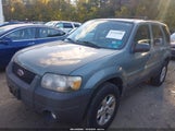 Ford Escape Xlt 1FMYU03Z07KB37371 снимка