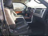 Ford F-150 Fx4/Harley-Davidson/King Ranch/Lariat/Platinum/Xl/Xlt 1FTFW1EV0AFB09673 photo