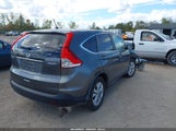 Honda Cr-V Ex 2HKRM4H53DH604461 снимка