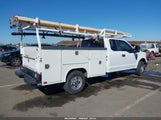 Miniaturka zdjęcia 4