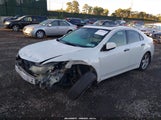 Acura Tsx 2.4 JH4CU2F62AC019589 снимка