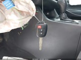 Miniaturka zdjęcia 11