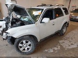 Ford Escape Limited 1FMCU0E75AKD38471 снимка