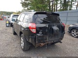 Toyota Rav4 JTMBF4DV9C5058023 снимка