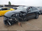 Miniaturka zdjęcia 6