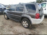 Ford Escape Xlt 1FMYU03152KC48498 снимка
