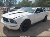 Ford Mustang V6 Deluxe/V6 Premium 1ZVHT80N575317321 fotografie