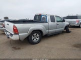 Toyota Tacoma Prerunner V6 5TETU62N16Z248621 photo