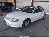Chevrolet Cavalier 1G1JC52F547268557 снимка