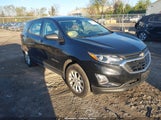 Chevrolet Equinox Ls 2GNAXSEV6K6232863 снимка