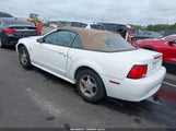 Ford Mustang 1FAFP44422F238982 fotografie