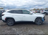 Hyundai Tucson Hybrid Limited KM8JEDD19SU288818 fotografie