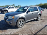 Ford Escape Xlt 1FMCU937X9KB20822 снимка