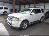 Ford Escape Limited 1FMCU0EG8BKB51355 снимка