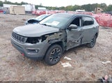 Jeep Compass Trailhawk 4X4 3C4NJDDB1MT538043 fotografie