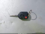 Miniaturka zdjęcia 11
