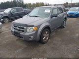 Ford Escape Xlt 1FMCU03188KC31763 снимка