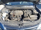 Hyundai Sonata Gls 5NPEB4AC4EH842852 снимка