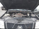 Cadillac Escalade Standard 1GYEK63N86R137759 photo