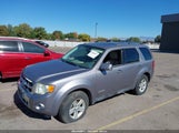 Ford Escape Hybrid 1FMCU59H48KB82904 снимка