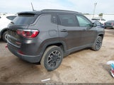 Jeep Compass Trailhawk 4X4 3C4NJDDB1KT688201 снимка
