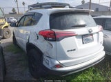 Toyota Rav4 Xle JTMRFREV4JJ738040 снимка