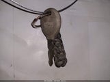 Jeep Wrangler Willy Wheeler 4X4 1C4AJWAG7HL634710 photo