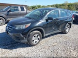 Honda Cr-V Lx 2HKRM4H31DH669288 снимка
