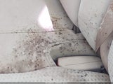 Nissan Altima 2.5 S 1N4AL3AP8FC260247 снимка