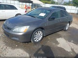 Honda Accord 3.0 Ex 1HGCM66566A004078 photo
