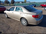 Toyota Corolla Le 2T1BU4EE8AC386120 снимка