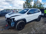 Jeep Cherokee Trailhawk 4X4 1C4PJMBX6KD167102 снимка