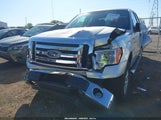 Ford F-150 Xlt 1FTFX1EF4BFA35973 fotografie