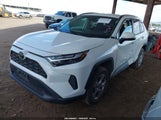 Toyota Rav4 Xle 2T3W1RFV9RW328251 снимка