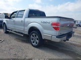 Ford F-150 1FTFW1EV7AFA07299 снимка