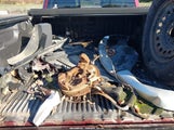 Chevrolet Silverado  1Lz 1GCVKSEC5GZ214812 снимка