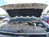 Chevrolet Silverado  Work Truck 1GCEK19C99Z260246 photo