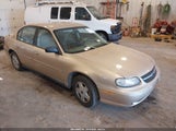 Chevrolet Malibu 1G1ND52J82M513935 снимка