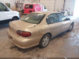 Chevrolet Malibu 1G1ND52J82M513935 снимка