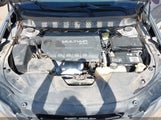 Miniaturka zdjęcia 10