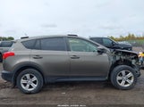 Toyota Rav4 Xle JTMRFREV0ED066059 снимка