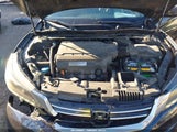 Honda Accord Ex-L V-6 1HGCR3F82FA026556 fotografie