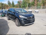 Kia Sorento 3.3L Sxl 5XYPKDA57GG099110 снимка