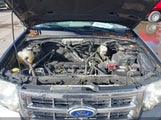 Ford Escape Xlt 1FMCU9D78AKD08192 снимка