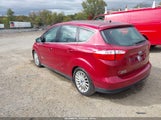 Ford C-Max Energi Sel 1FADP5CU3GL103811 снимка